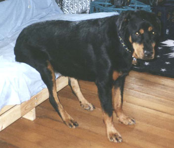 jax-sit.jpg (30443 Byte)