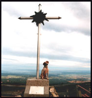 kreuz.jpg (15882 Byte)